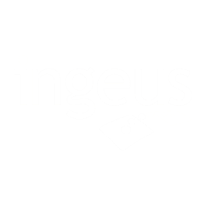 Ingeus Bridge Logo whitepng