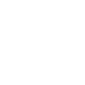 colt logo